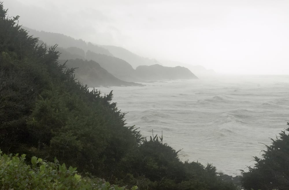 Fade to white along Pacific coast on a rainy day in Oregon
