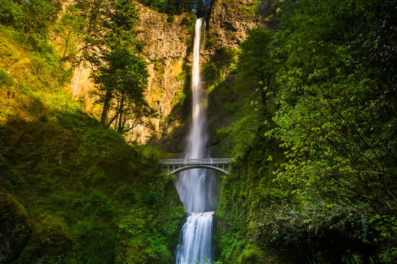 Multnomah Falls and bridge, in the Columbia River Gorge, Oregon.-1
