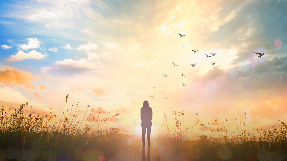A silhouette of a person walking toward a field where birds fly overhead in front of a bright sunrise with blue skies in the distance