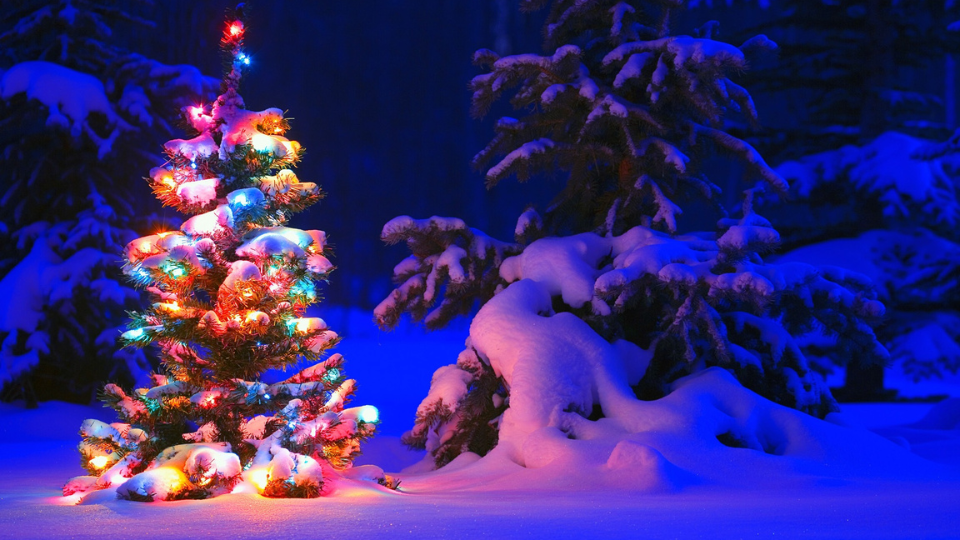 A small holiday tree covered in multicolored lights and snow sitting outside among other pine trees covered in snow in winter. 