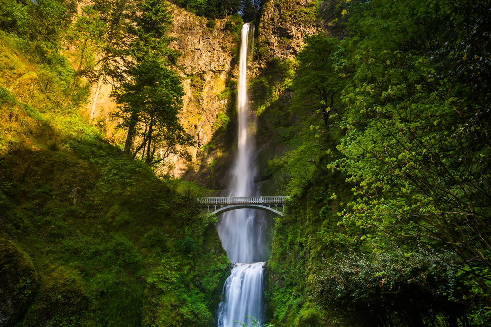 Multnomah Falls and bridge, in the Columbia River Gorge, Oregon.